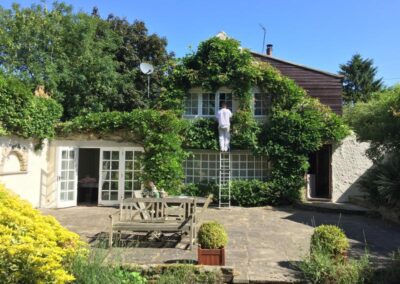 paint and decor services 16